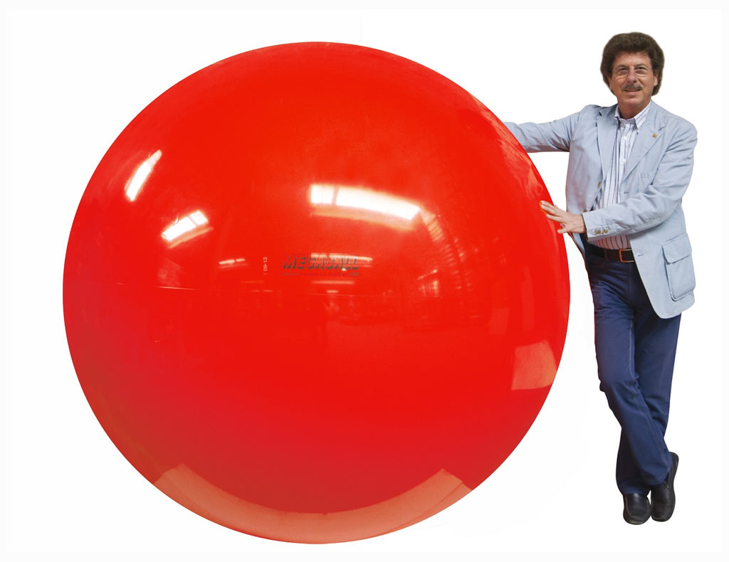 Vous souhaitez acheter Gymnic - Ballon de réeducation 30 cm rose