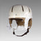 Danmar Hard Shell Helmet with Face Bar