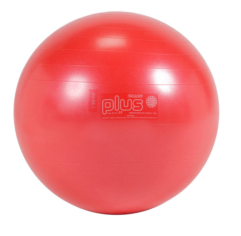 Walmart Exercise Ball 95 Cm Pilates Kit SmarterLife Anti-Burst