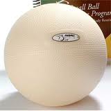 FitBALL Body Therapy Ball - CLOSEOUT SALE