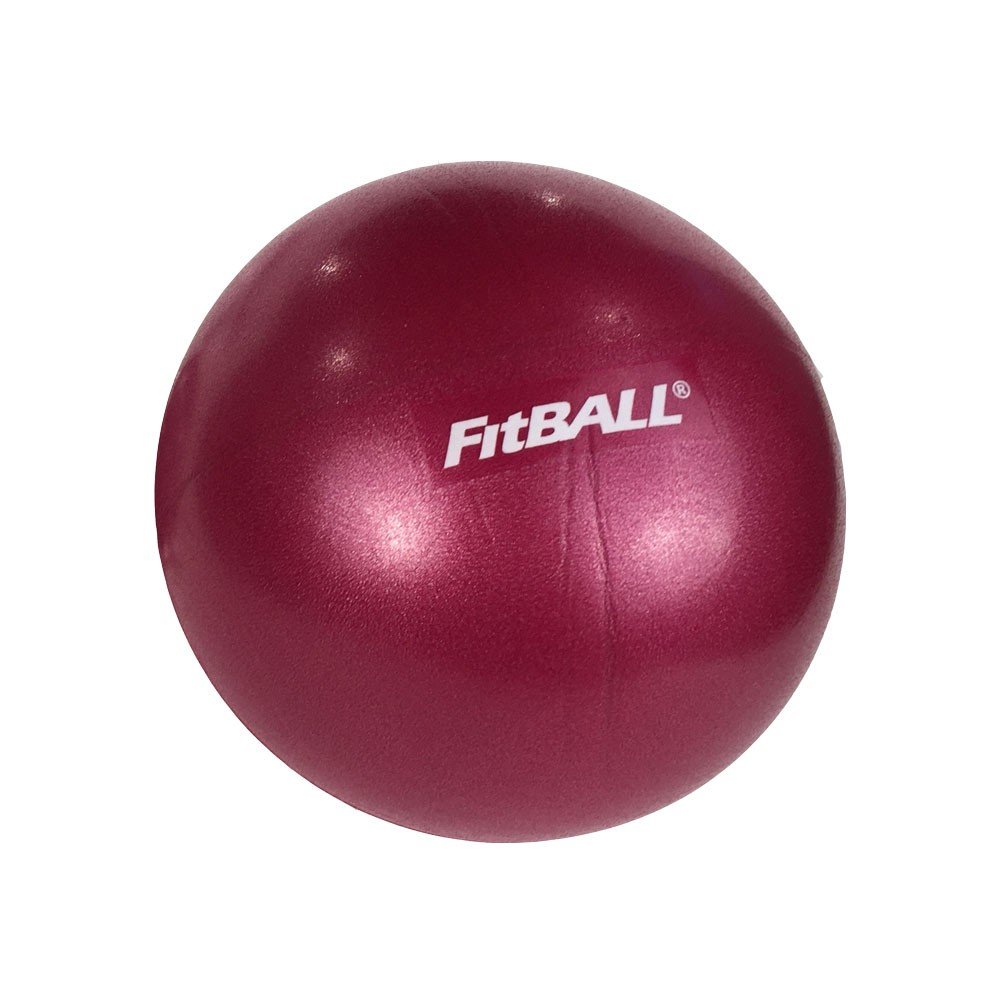 Mini Fitball Ball Dynamics FitBALL Mini Exercise Ball - 9