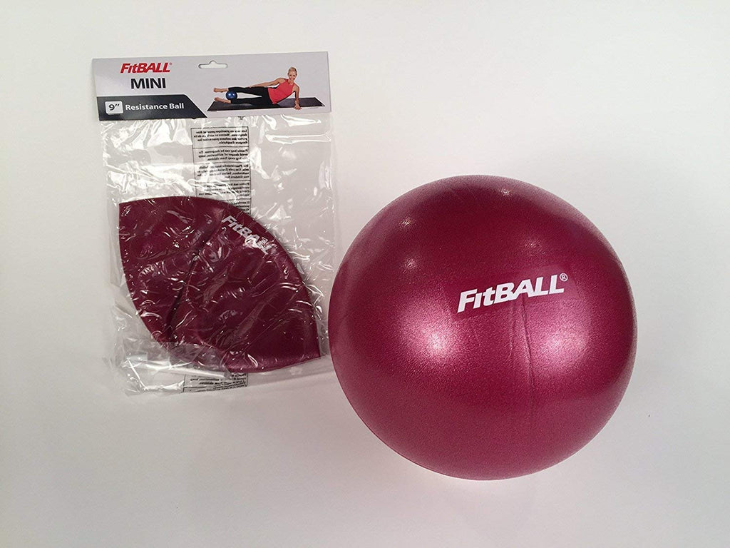 Mini Fitball Ball Dynamics FitBALL Mini Exercise Ball - 9
