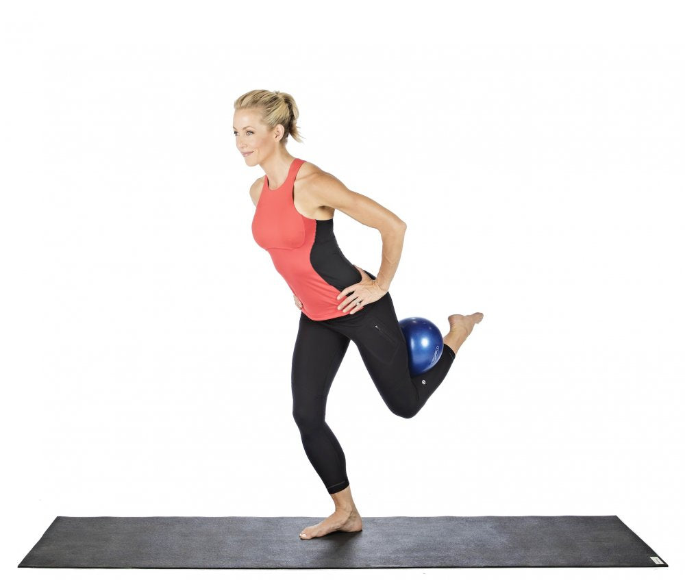 Mini Fitball Ball Dynamics FitBALL Mini Exercise Ball - 9