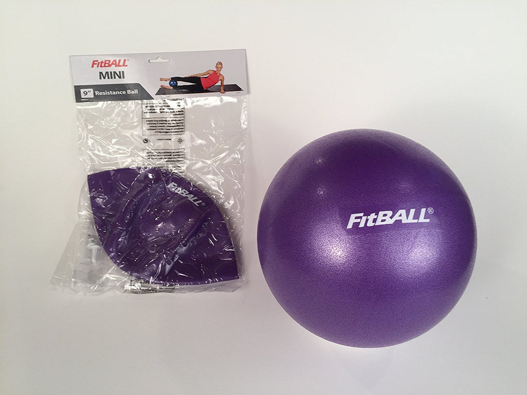 Mini Fitball Ball Dynamics FitBALL Mini Exercise Ball - 9