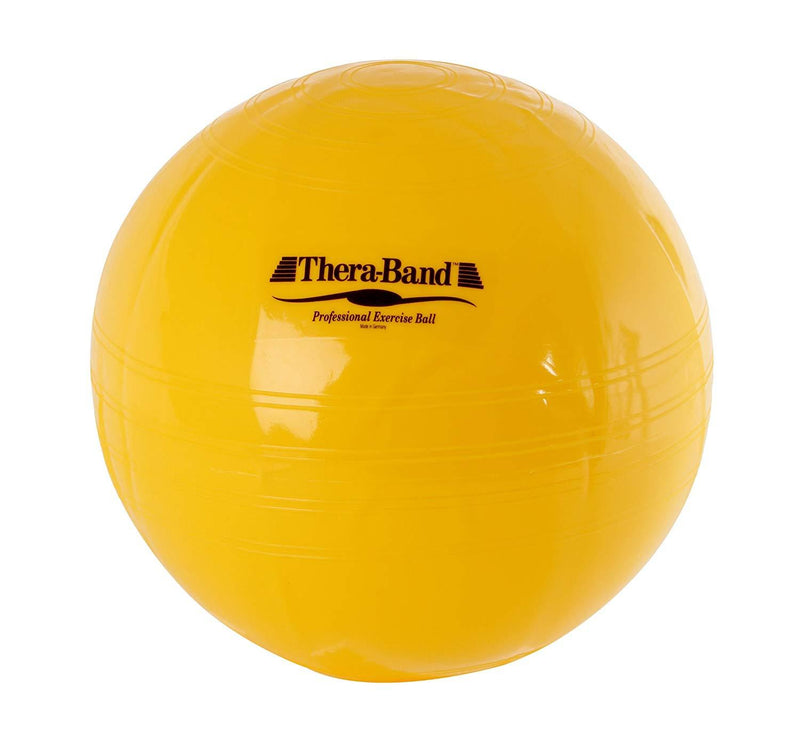 Thera-Band Ball Cushion